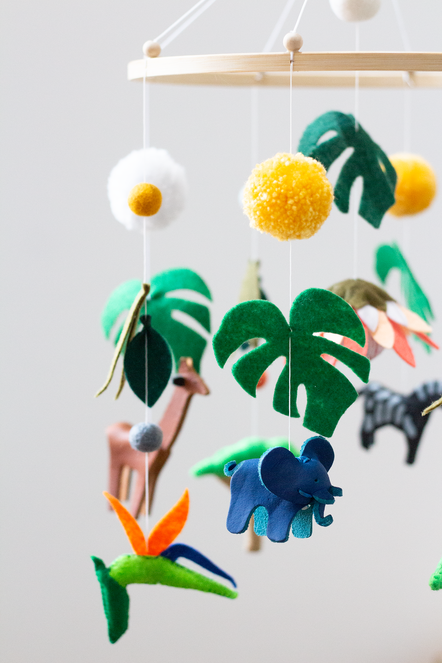 Afrographic Collab Safari V2 Mobile