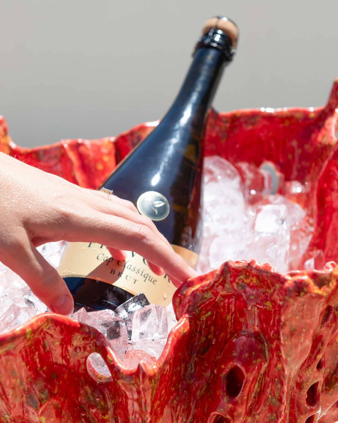 Bottle of champagne being held over a red cooler filled with ice