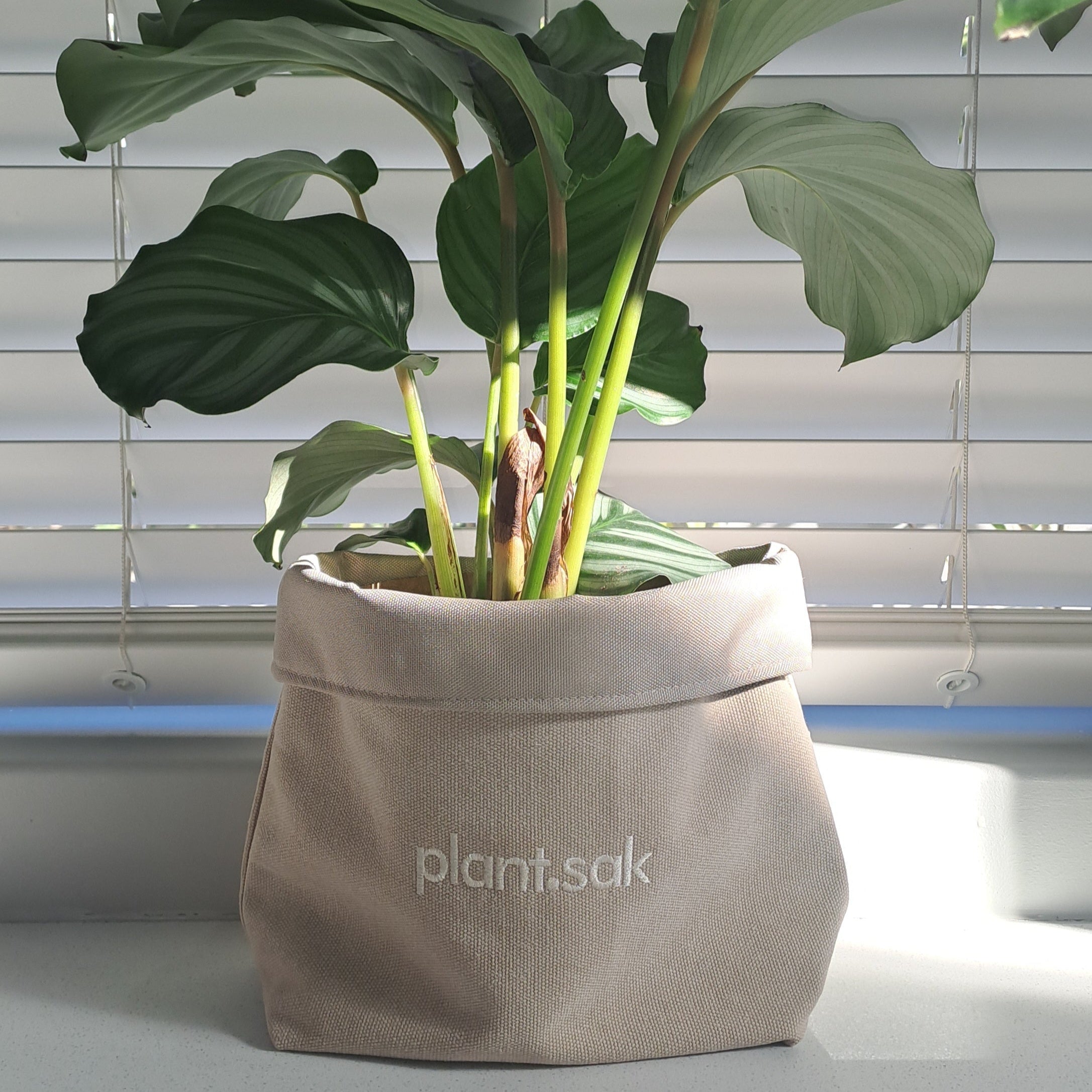 plant.sak