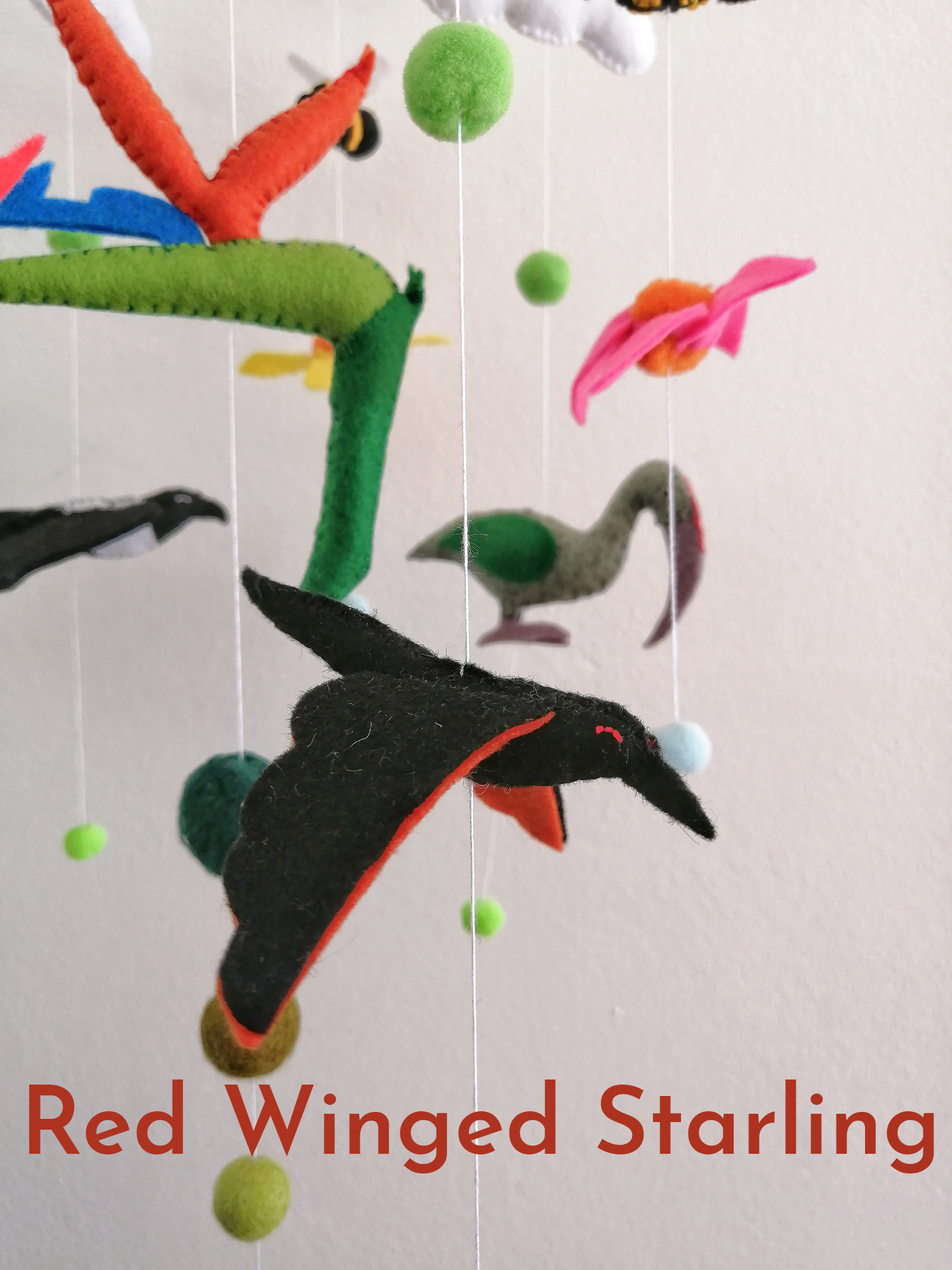 Cape Fauna & Flora V1 Split Frame Mobile